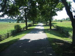 45 Acres, Near Newmarket - Country Homes for sale and Luxury Real Estate in Caledon and King City including Horse Farms and Property for sale near Toronto